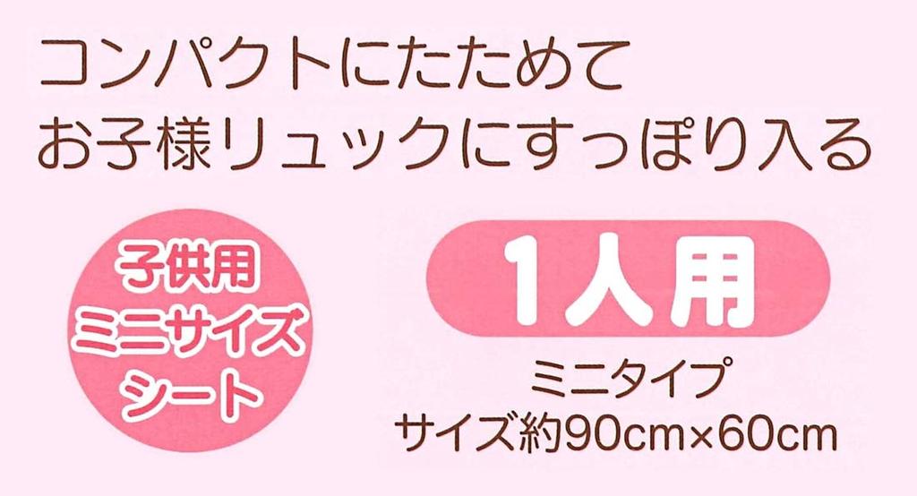 Skater Picnic Hello Kitty VS1 Sheet, Small, Cookies, Sanrio, 60x90cm,