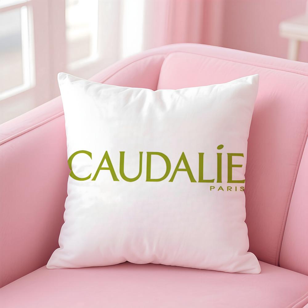 

popular brands Caudalie Cushion Cover Comfortable Reversible Pillow Cover Ideal for Car Sofa Bedroom & Beyond 12x12Inch