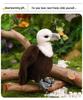 Stofftier Weißkopfseeadler - Kinderspielzeug und Heimdeko-Ornament