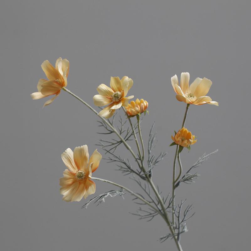 Pastoralne Kwiatowe Jedwabne Kosmosy i Kosmosy Symulowane Kwiaty