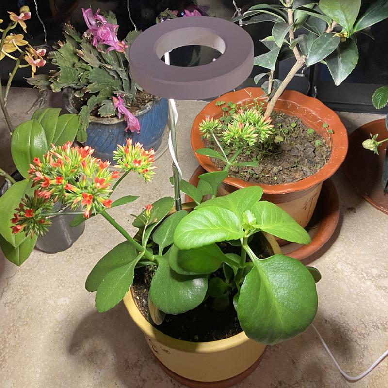 Plant Grow Light Full Spectrum Indoor LED Plant Grow Light Plant Fill Light