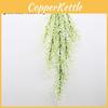 Babylonica Green Salix Wall Hanging Plant For Home Party Photography And