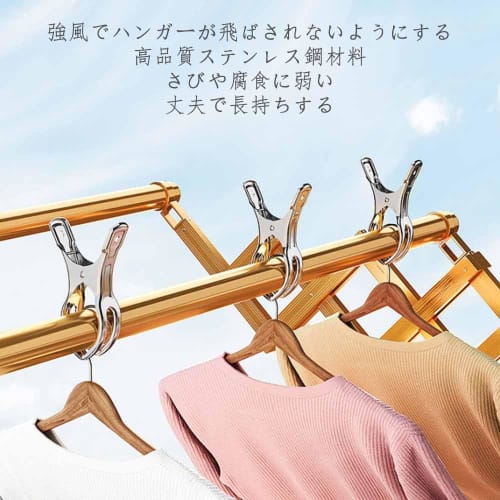 YUWENW 10-Piece Set of Stainless Steel Clothespins, Rust-Resistant, Non-Slip, Strong, Windproof, for Hangers, Laundry Clips, Clothes Drying Pole Clips