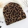 Thicken Leopard Jacquard Unisex Beanies Trendy Autumn Winter Warm Hat Hip Hop Vintage Knit Hats for Women Men CLE
