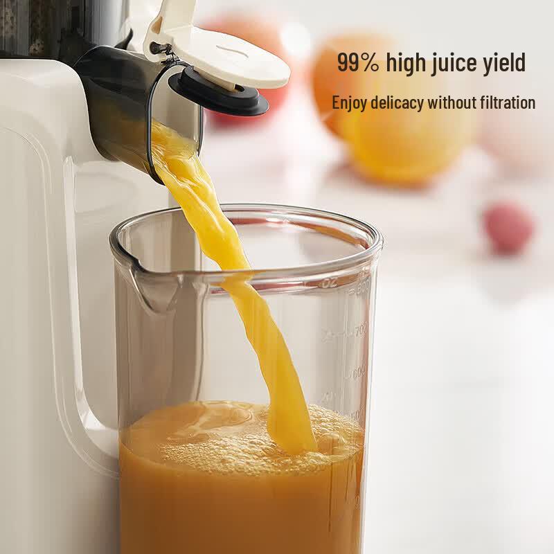 Joyoung Z11-LZ820 NFC Slow Juicer CN Plug (adapter Included)