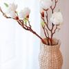 1Pcs Dry Flowerpot Woven Flower Vase Woven Basket Rattan Holder Lincao Vase Grass Woven Vase