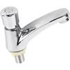 Basin Sink Faucet Time Delay Water Saving Water Tap Copper Alloy Push Switch Cold Water Faucet for Home Kitchen Bathroom Restroom Hotel