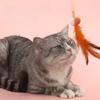 2pcs Feather Stick Cat Toys Interactive Elastic Net Toys for Cats Teasing Self-hi Feather Cats Toy Kitten Teaser Pet Supplies