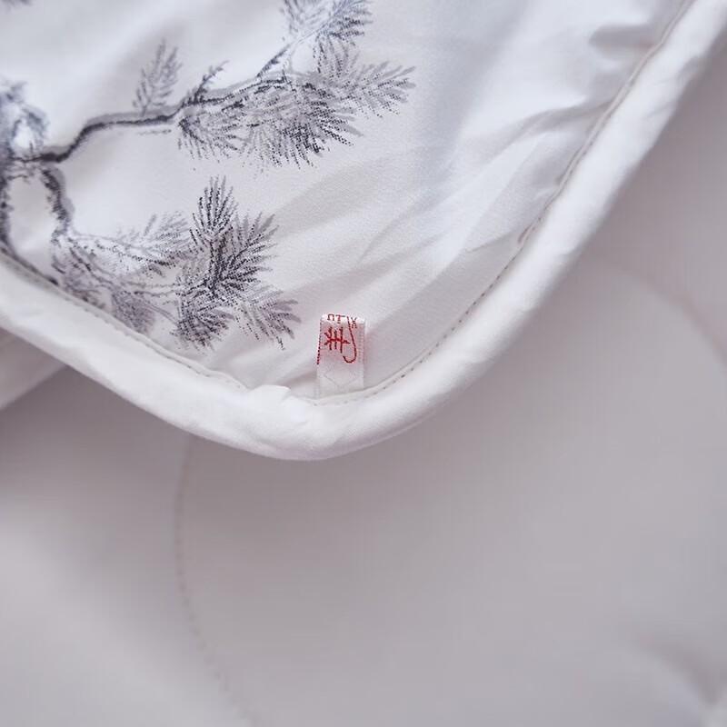 Hengyuanxiang Xiangyi Wool Quilt