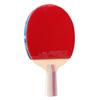 DHS 3-Star F3008 Straight Handle Table Tennis Racket