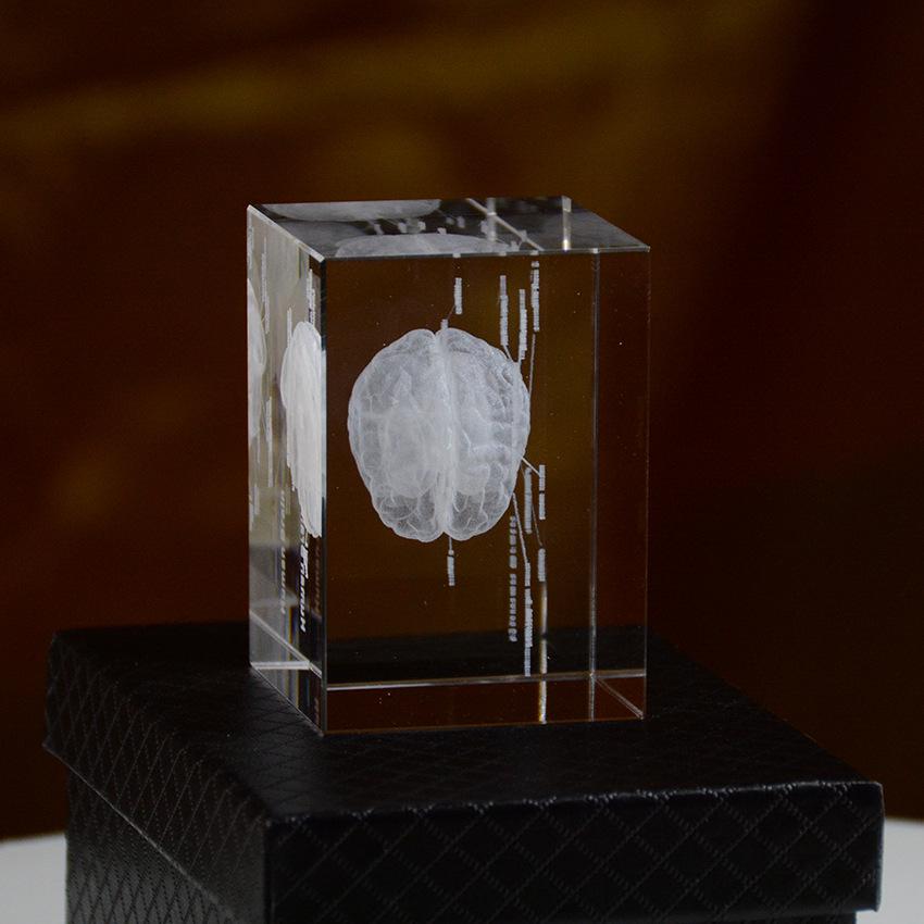 3D Crystal Carved Brain & Heart Anatomical Model Figurine