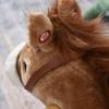 Children's Rocking Horse Baby Rocking Animal Horse with Animal Sounds Toy Handles for 36-72 Months Plush Brown 65 x 32.5 x 61 cm
