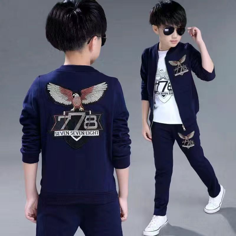 

Комплект из 3 предметов, комплект одежды для мальчиков, жилет с капюшоном, куртка, футболка, брюки, детский спортивный костюм, от 3 до 12 лет