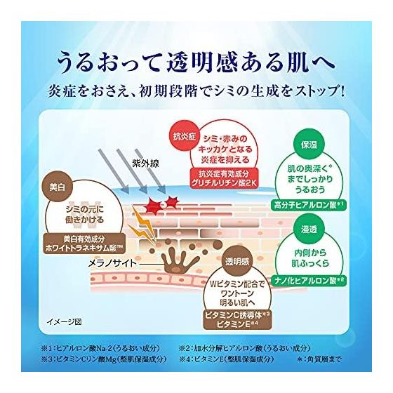 Hada Labo Hakujun Premium Medicated Penetrating Whitening Lotion 170mL + Gokujun Sachet Included [Quasi-drug]