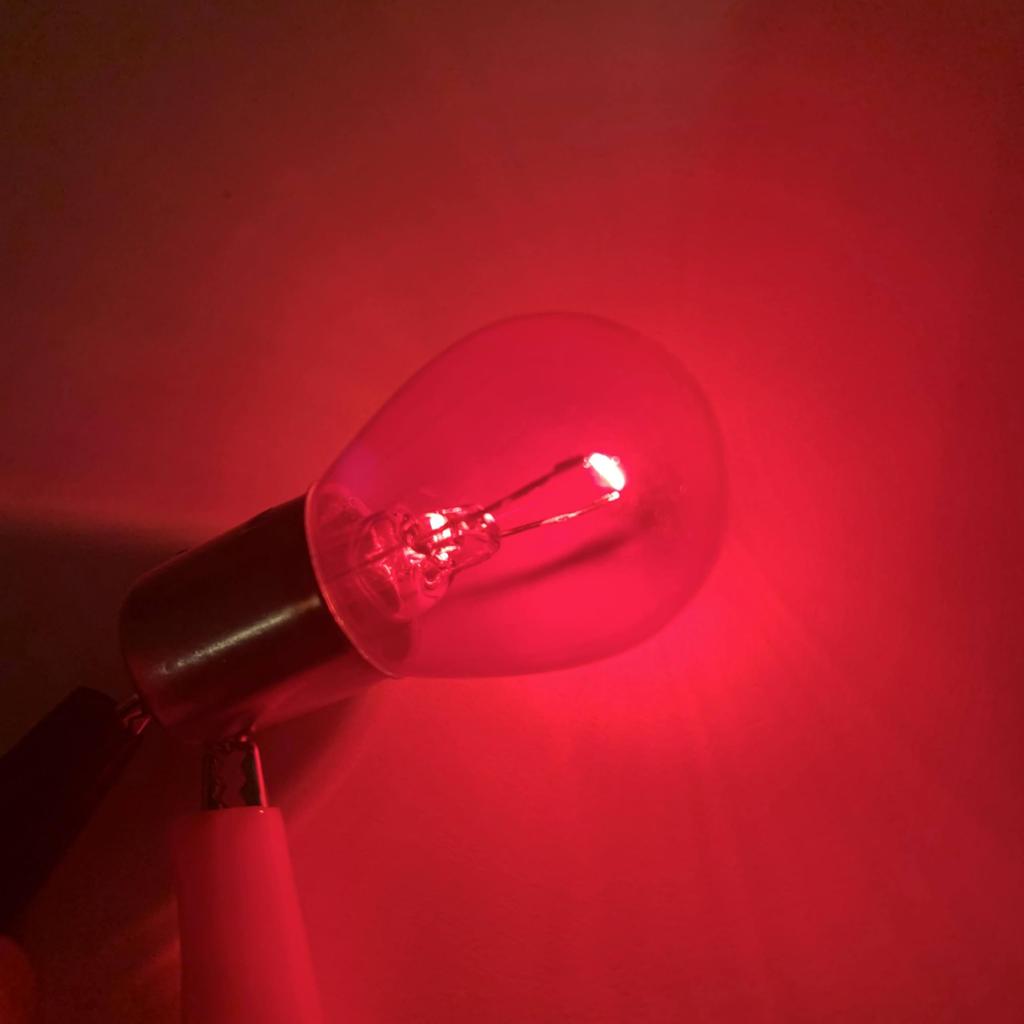 Roost Halogen Bulb Color Bulb Red S25 Single 21W BA15S