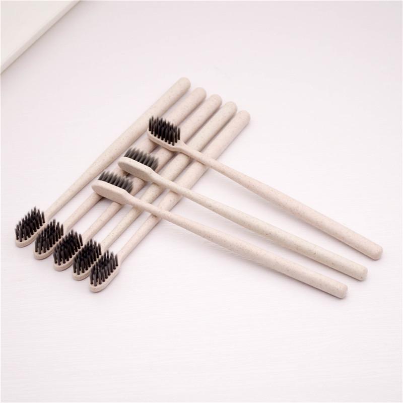 Soft Bristle Disposable Toothbrush for Hotels & Travel