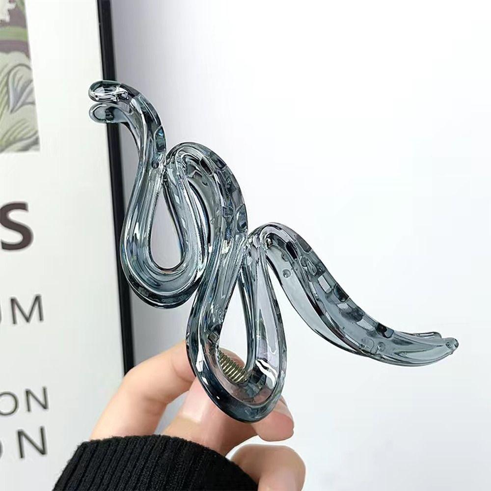 Transparent Hair Clips Acrylic Hair Pins Korean Style Hair Claws  Wash Face