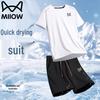 Men's Summer Casual Lightweight T-Shirt & Shorts Set