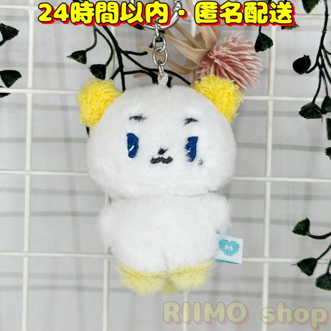 

[USED] PLAVE MMMM Noah moi stuffed toy keychain