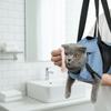 Breathable Mesh Cat Bath Fixing Bag Soft Comfortable Cat Grooming Bag Folding Anti-scratch Pet Carrier Sling Bag Nail Trimming