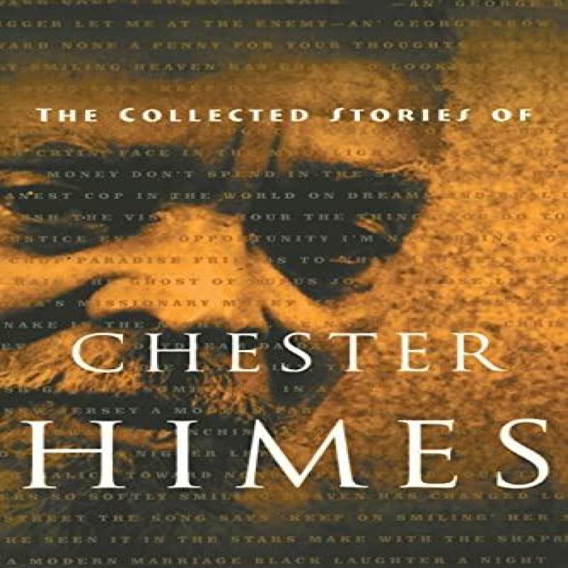 The Collected Stories of Chester Himes by Chester Himes Paperback Book 9781560252689