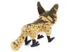 Star Wars Edge Creature Lothcat Plush Toy with Sound Action Doll Star Wars Edge Lothcat Disney Theme Park Exclusive Galaxy's & Galaxy's