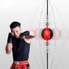 Boxing Speed Ball