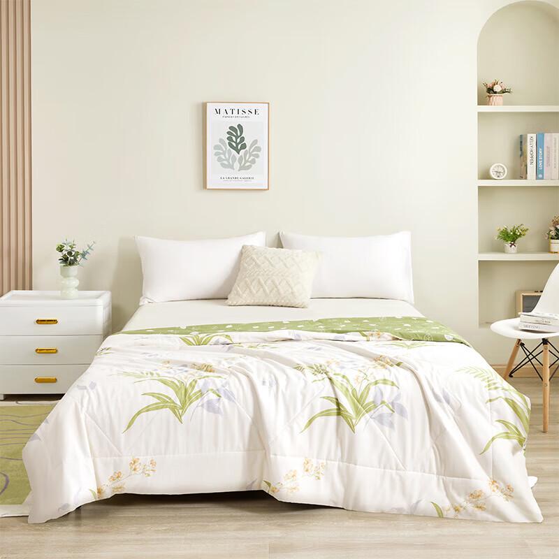Jieliya CP1753 Washable Polyester Summer Quilt