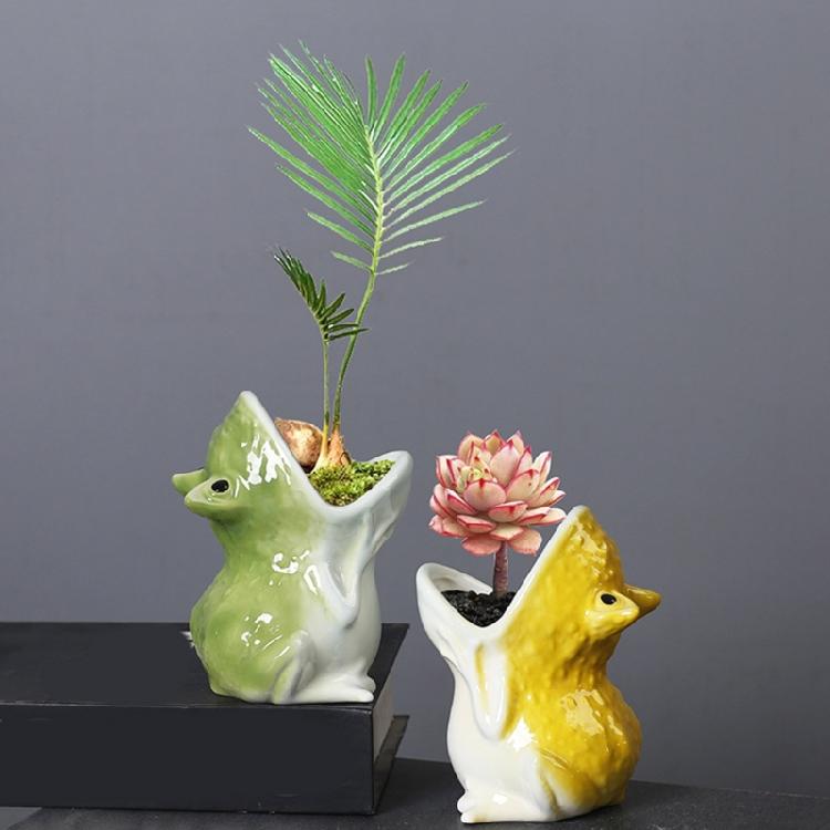 Decorative Frogs Inspiring Ceramic Planting For Miniature Green-plant Ideal For Office Desk Or Shelf Display