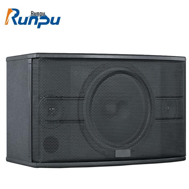 Runpu Professional Conference & Public Venue Speakers CN plug (adapter included)