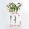 Transparent Hydroponic Plant Vases Flower Pot Tabletop Home Decorations