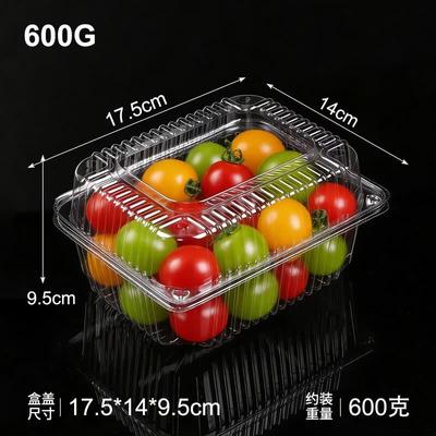 Disposable Transparent Plastic Fruit & Food Containers with Lid