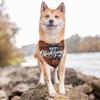 Thanksgiving Cute Turkey Dog Bandana Scarf Triangle Bibs Pet Accessories Cat Kerchief
