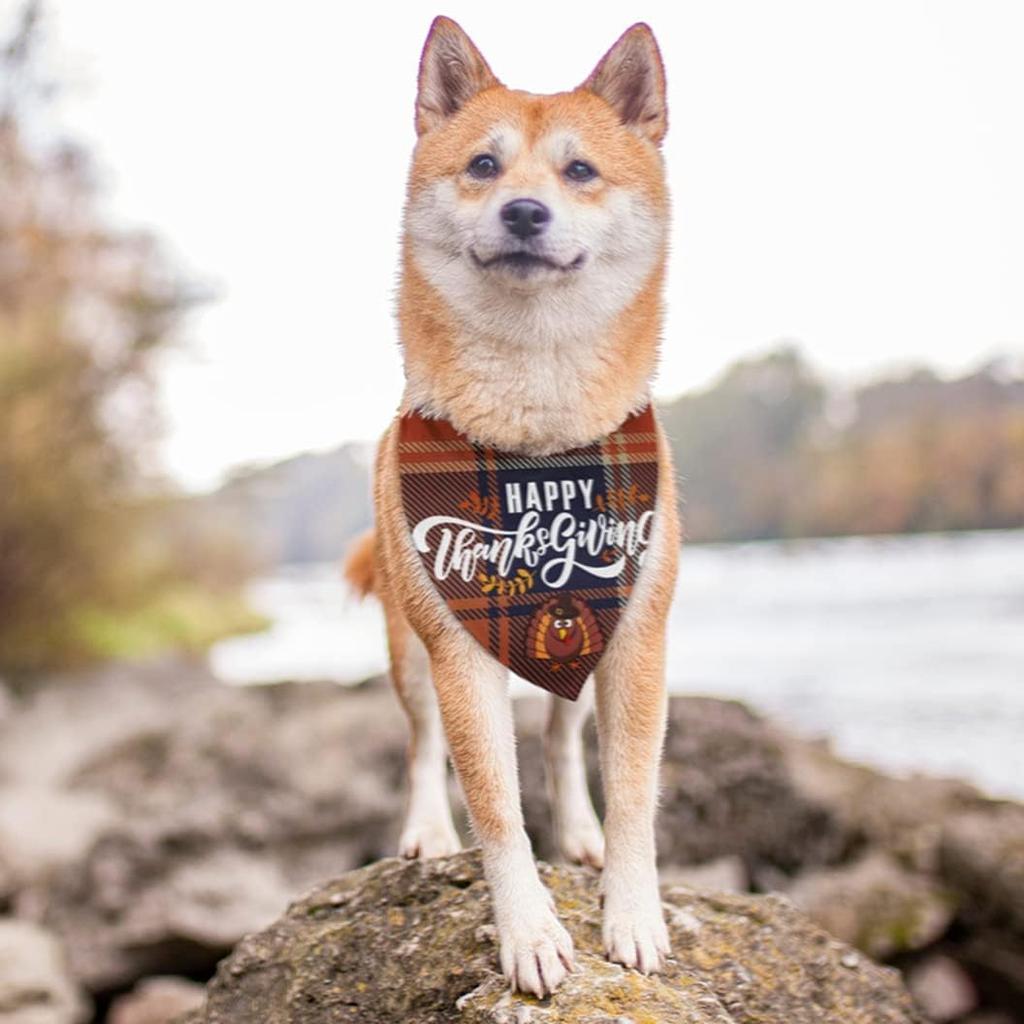 Thanksgiving Cute Turkey Dog Bandana Scarf Triangle Bibs Pet Accessories Cat Kerchief