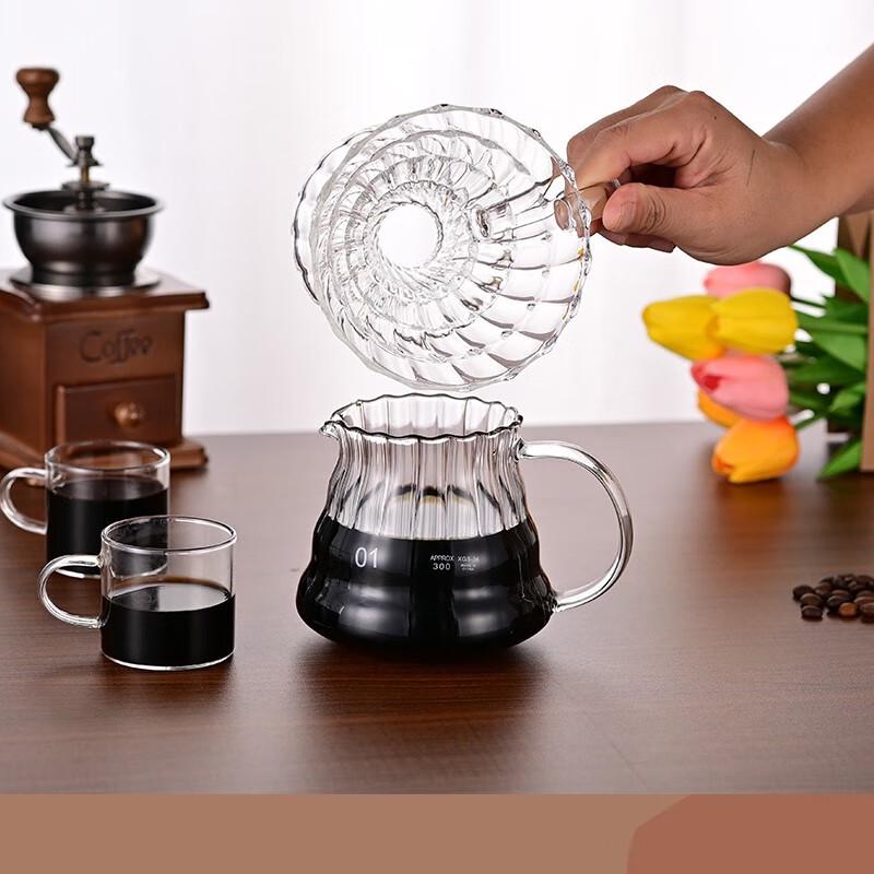 ZISIZ Glass Coffee Filter & Server Set