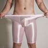 See Through Men Underwear Sheer Shiny Shorts Trunks Swim