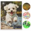 5D FullDrill Round Diamond Painting Kit Cute White Puppy Bedroom Decor. Mosaic Craft Wall Art