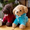 20cm Plush Toy Poodle with Detachable Hoodie, Sitting Position, Fluffy, Puppy, Body Pillow, Teddy Bear Dog, Teddy Poodle, Plush Toy, PP Cotton