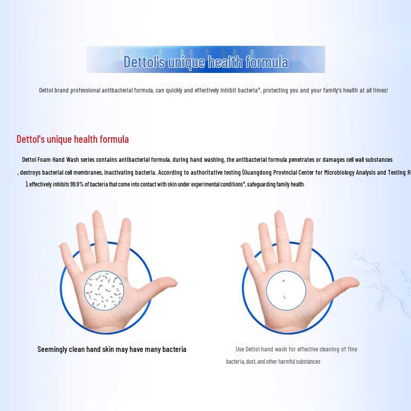 Walch Schaum Antibakterielle Handseife