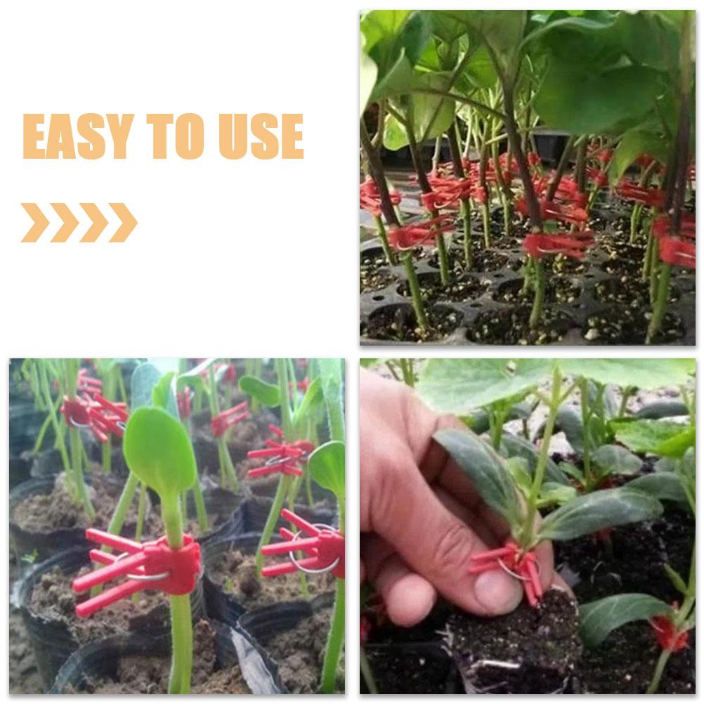 1 Set Veredelungsklammern Gewächshauspflanzen Befestigungsklammern Pflanzenstielhalter Fixe Klemmen Kunststoffklammern Für Gurken Chili Zangen