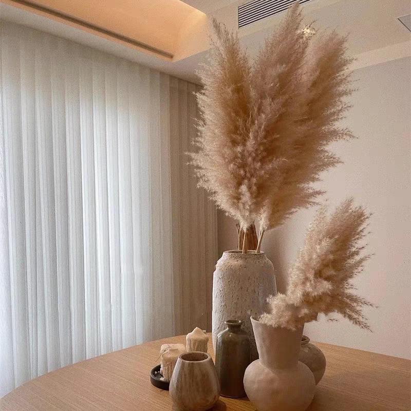 Large Dried Pampas Reed for Decoration in Clothing Stores, Windows, or Weddings