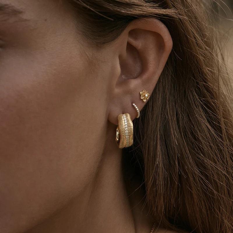 Light Luxury Retro Metal Brushed Banana Leaf Inlaid Zircon Earrings S925 Silver Needle Stud Earrings High-End Temperament Earrings
