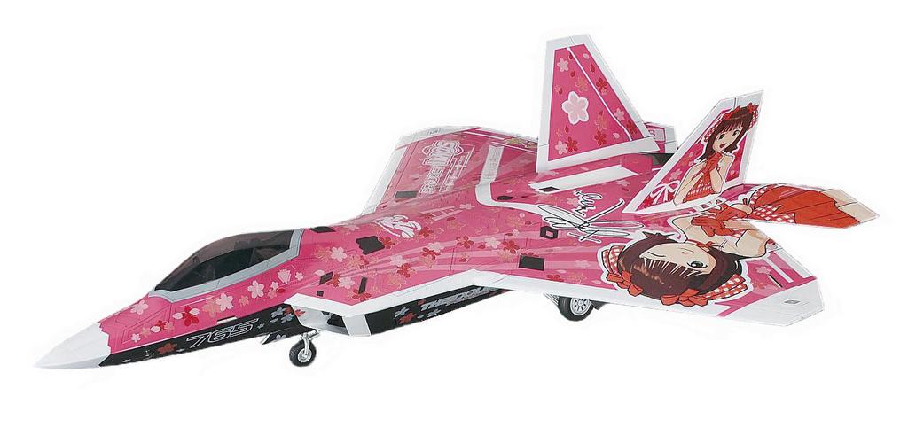 Hasegawa Raptor THE Haruka Amami SP271 F-22 IDOLM@STER 1/48