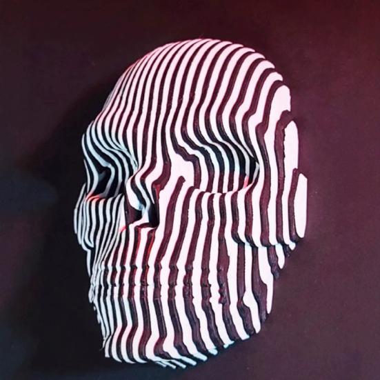 Quantums Skull Wall Decoration Home Office Living Room Bathroom Wall Art Spooky 3D Printed Skull Sculpture Figurine Statue Wall Ornament