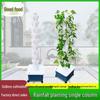 Jardinagem e paisagismo – Suporte de plantas