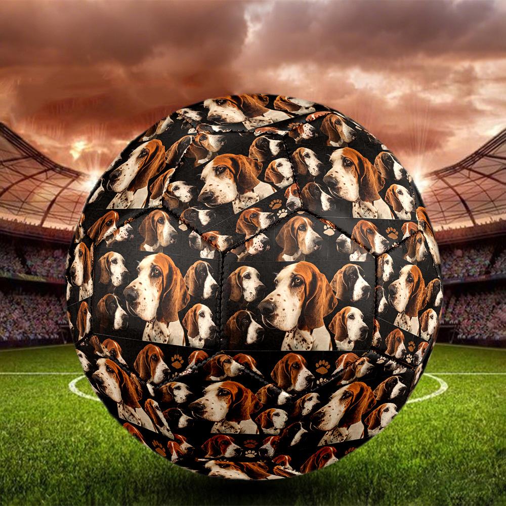 Afghan Hound Indoor Soccer Ball Size 5 Colorful All Ages Machine Stitched PVC Competition Ready Durable High-Bounce