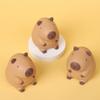 Cartoon Decompression Toys Creative Pinch Fidget Sensory Toy New Capybara Squeeze Toys  Kids Adults