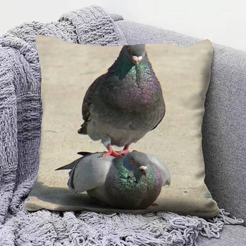 pigeon FFunny MEME  Home Sofa Cushion Covers and Aecorative Custom Pillow Covers