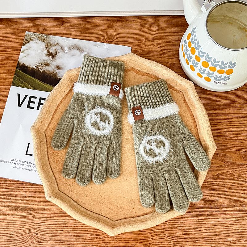 Knitted Wool Gloves Winter Warm Touch Screen Cute New Cartoon Cold-proof Men and Women Five-finger Label Style