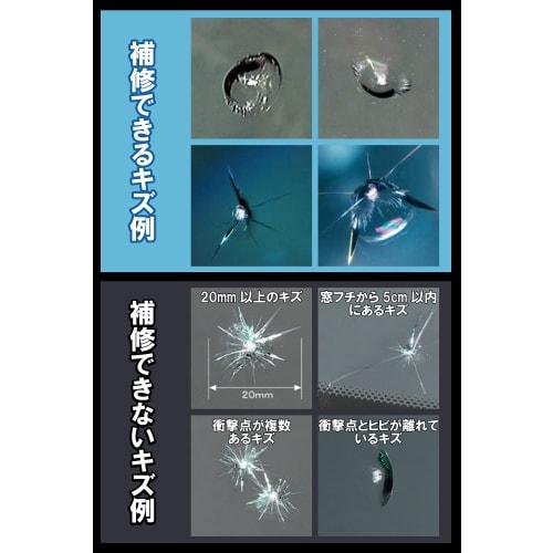 CARMATE Car Glass Repair Set Professional Window Repair System Set PS300